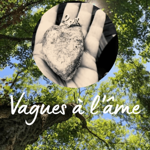 Mon livre