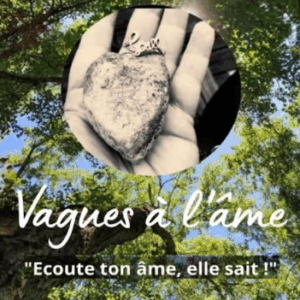 Mon livre "Vagues à l'âme"